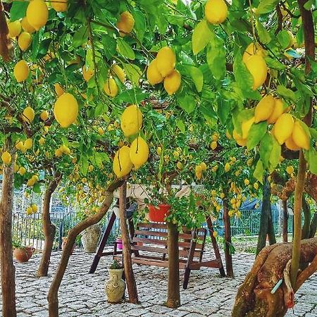 Il Limoneto Degli Angeli Villa มินอริ ภายนอก รูปภาพ
