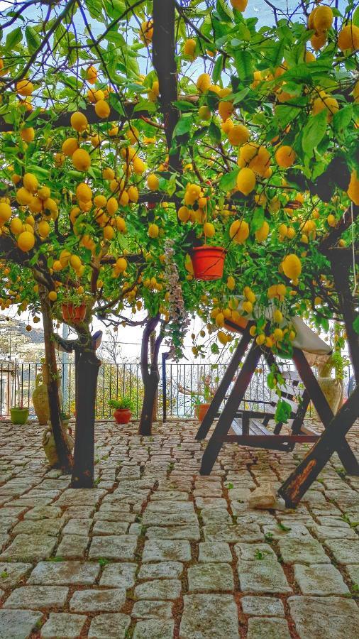 Il Limoneto Degli Angeli Villa มินอริ ภายนอก รูปภาพ