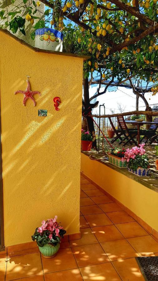 Il Limoneto Degli Angeli Villa มินอริ ภายนอก รูปภาพ
