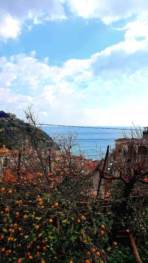 Il Limoneto Degli Angeli Villa มินอริ ภายนอก รูปภาพ