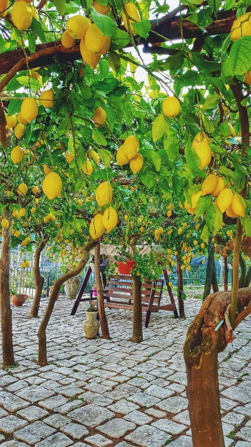 Il Limoneto Degli Angeli Villa มินอริ ภายนอก รูปภาพ