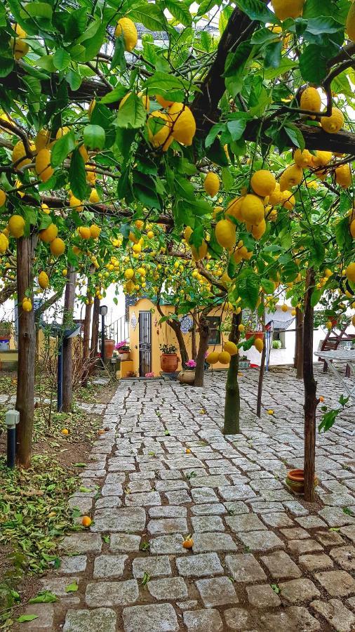 Il Limoneto Degli Angeli Villa มินอริ ภายนอก รูปภาพ
