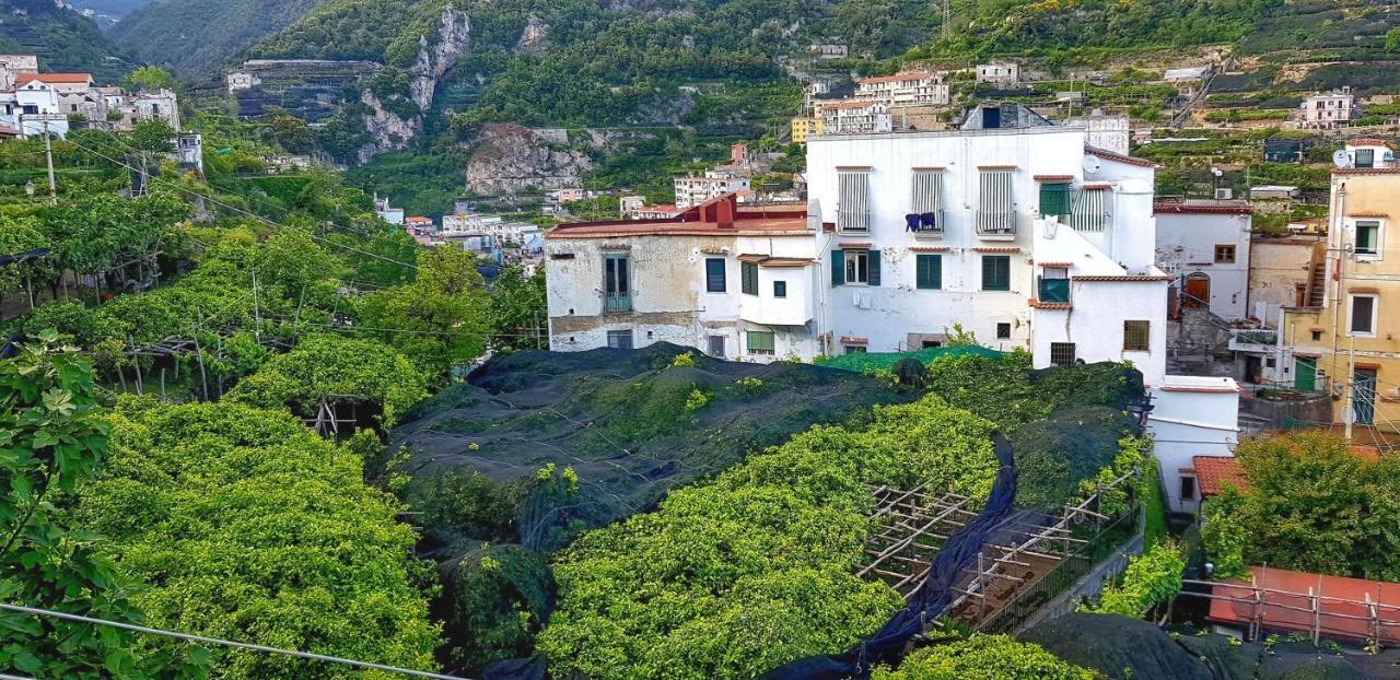 Il Limoneto Degli Angeli Villa มินอริ ภายนอก รูปภาพ