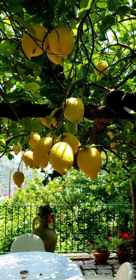 Il Limoneto Degli Angeli Villa มินอริ ภายนอก รูปภาพ