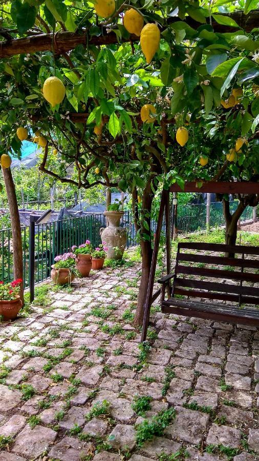 Il Limoneto Degli Angeli Villa มินอริ ภายนอก รูปภาพ